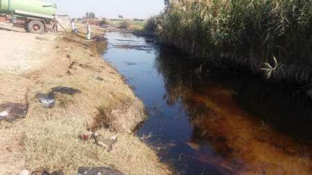 آلودگی نفتی باعث اتلاف بسیاری از ماهیان و پرندگان مناطق حاشیه رود خانه دز شد