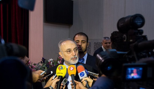صالحی: احتمالا ظریف برای برگزاری نشست وزیران خارجه ایران و ۱+۵ اقدام کند