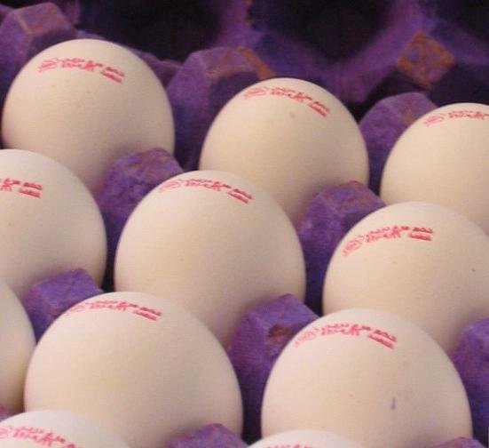 آغاز توزیع تخم‌مرغ وارداتی/ گران‌تر از شانه‌ای ۱۲۶۰۰ تومان نخرید