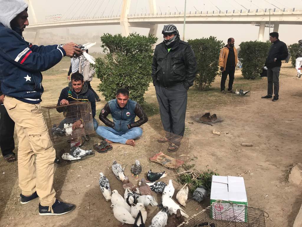 گزارش تصویری از بازار روز پرندگان اهواز