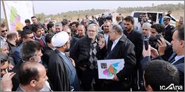 نایب رئیس مجلس از وضعیت نخلستان‌های فلاحیه و اراضی حاشیه رودخانه جراحی بازدید کرد