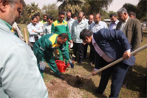 آیین درختکاری در شرکت فولاد خوزستان