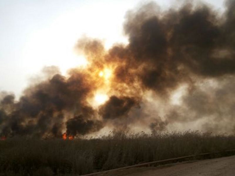 آتش در بخش ایرانی هورالعظیم نیز شعله ور شد
