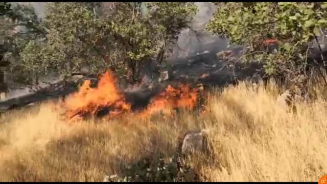 اعلام آماده باش به سه شهرستان برای آتش سوزی منطقه نخودکار باغملک