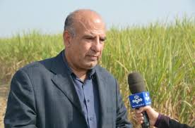 رکورد تولید روزانه شکر در شرکت توسعه نیشکر خوزستان شکسته شد