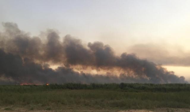 آتش سوزی در سه هزار هکتار از هورالعظیم