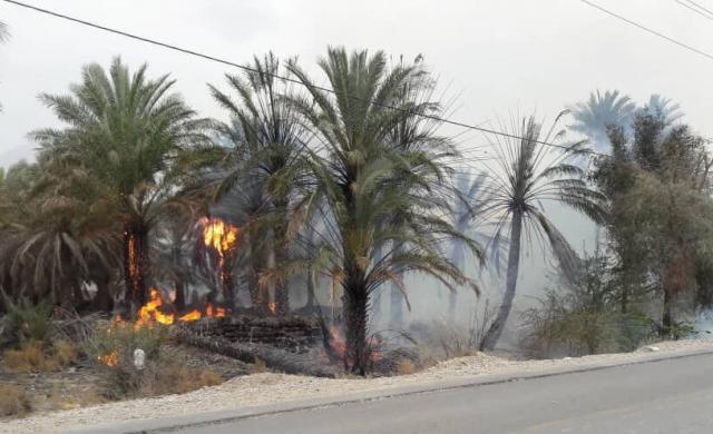 مصدومیت یک آتش‌نشان در آتش‌سوزی نیزارهای روستای جرف علیای خرمشهر