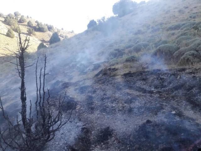 آتش سوزی جنگل‌های احمدفداله دزفول مهار شد