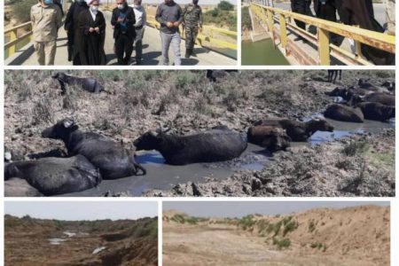 نماینده خوزستان در مجلس خبرگان رهبری : قطعی آب و تنش‌های آبی سبب مهاجرت معکوس می‌شوند