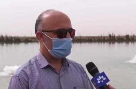 رئیس اداره شیلات دشت آزادگان  : برگزاری کارگاه های مدیریت کم آبی ضروری است