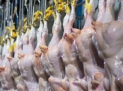 قیمت مرغ از نرخ مصوب پیشی گرفت