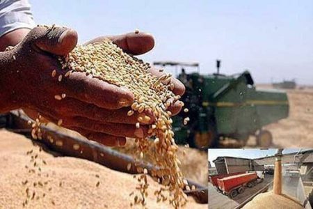 خرید گندم در خوزستان از یک میلیون و ۶۸۲ هزار تن گذشت