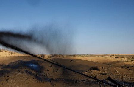 مالچ‌پاشی نفتی؛ تهدیدی بیخ گوش زیستگاه آهوی ریم در غرب کرخه