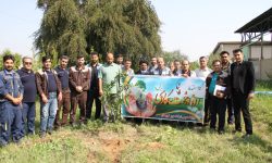 مراسم کاشت نهال به مناسبت هفته درختکاری در شرکت حریر خوزستان