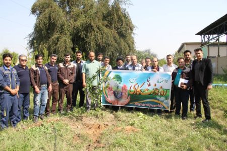 مراسم کاشت نهال به مناسبت هفته درختکاری در شرکت حریر خوزستان